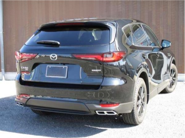 Mazda CX-60 fotoğraf 2