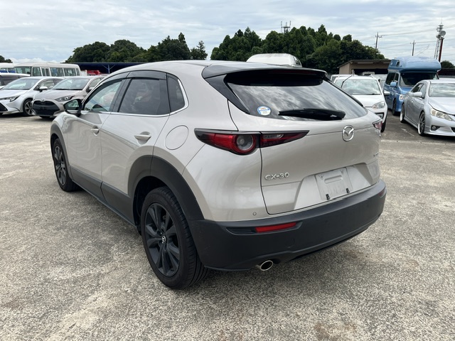 Mazda CX-30 fotoğraf 2