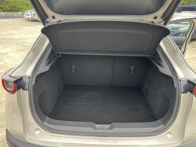 Mazda CX-30 fotoğraf 27