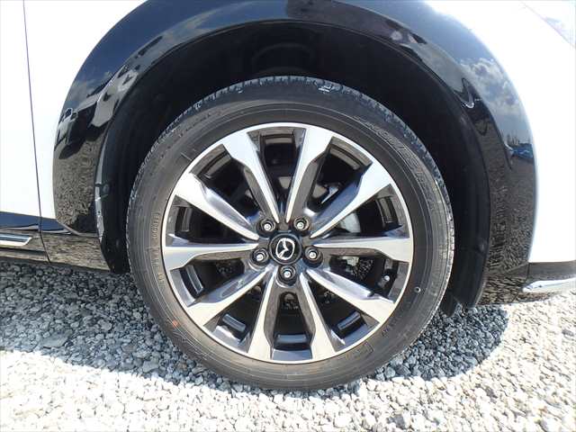 Mazda CX-3 fotoğraf 39