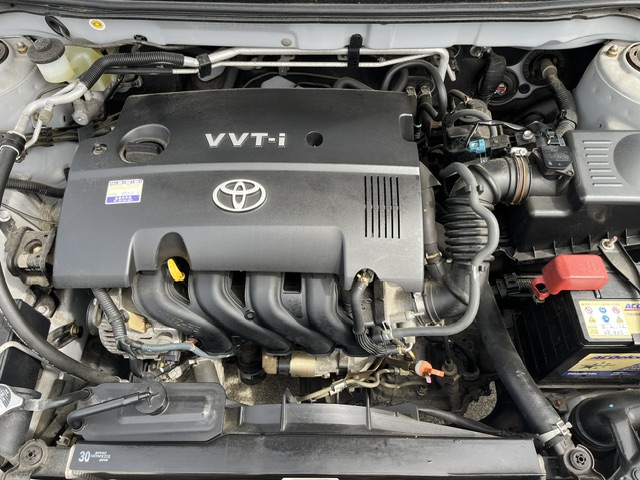 Toyota Corolla Runx fotoğraf 9