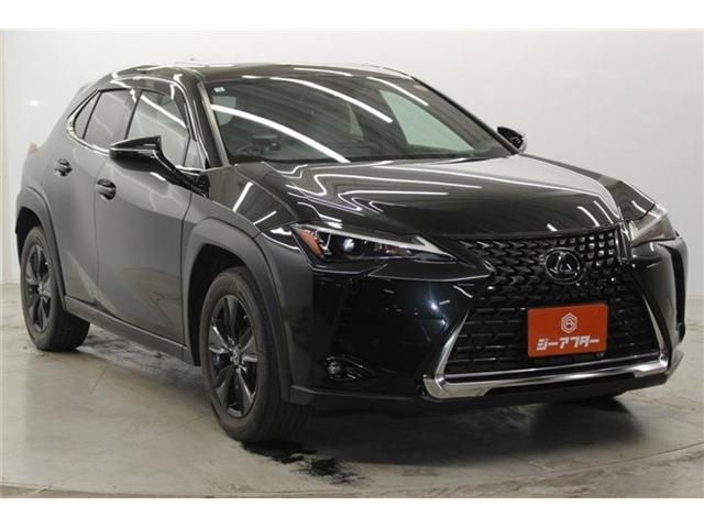Lexus UX 250h fotoğraf 4