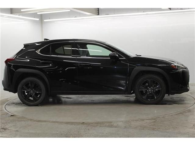 Lexus UX 250h fotoğraf 5