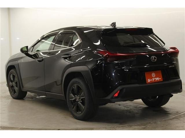 Lexus UX 250h fotoğraf 8