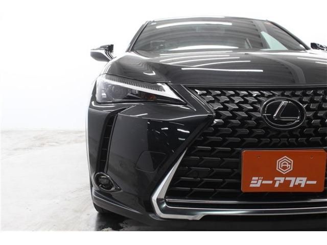 Lexus UX 250h fotoğraf 12
