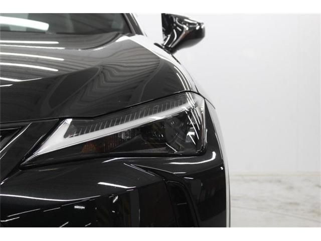 Lexus UX 250h fotoğraf 16