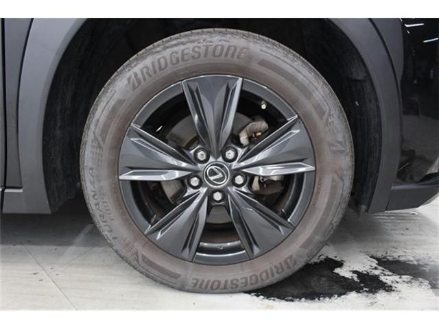 Lexus UX 250h fotoğraf 24